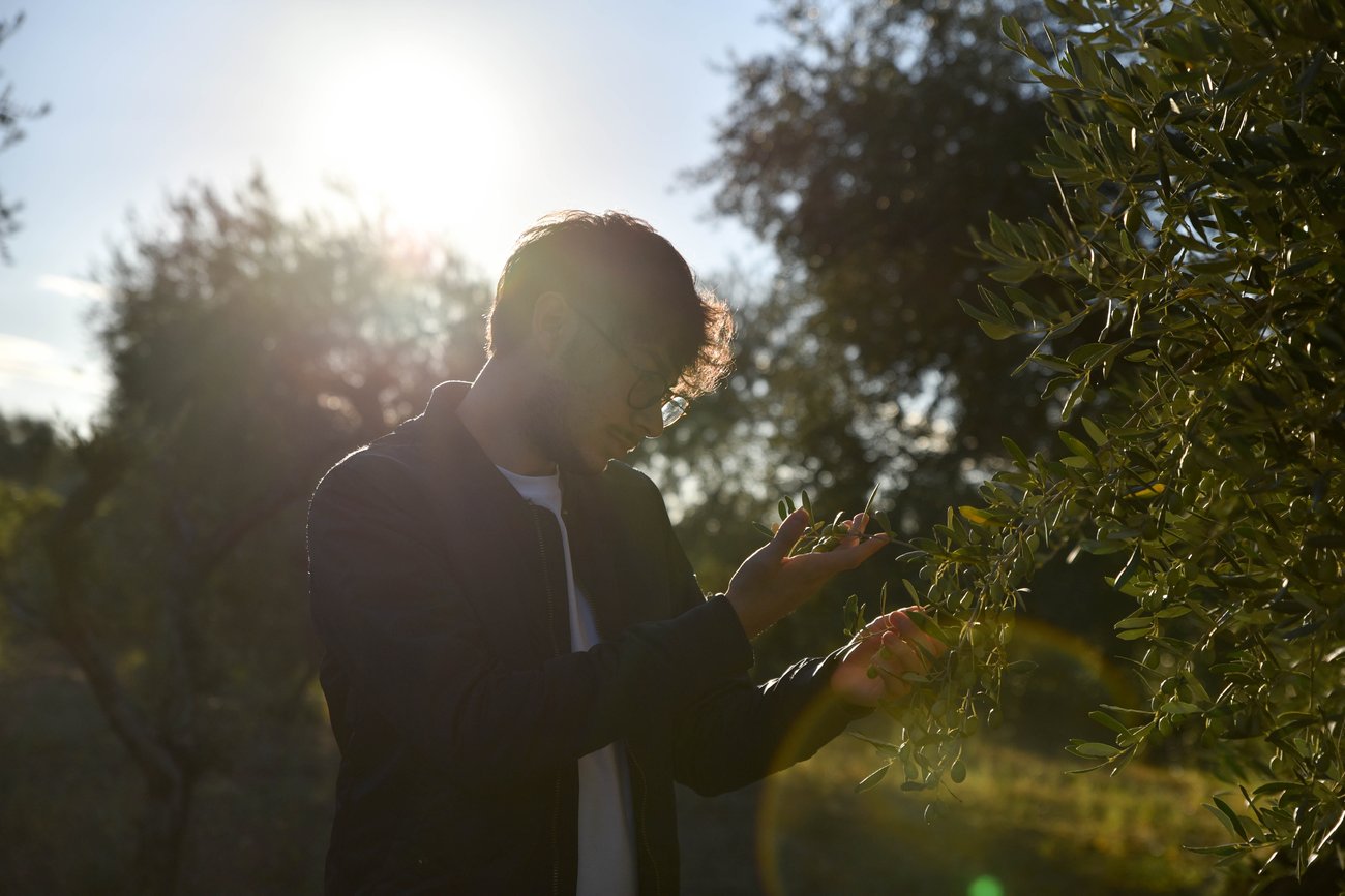 Tra gli ulivi di Agricola Toma &mdash; Alto Tavoliere